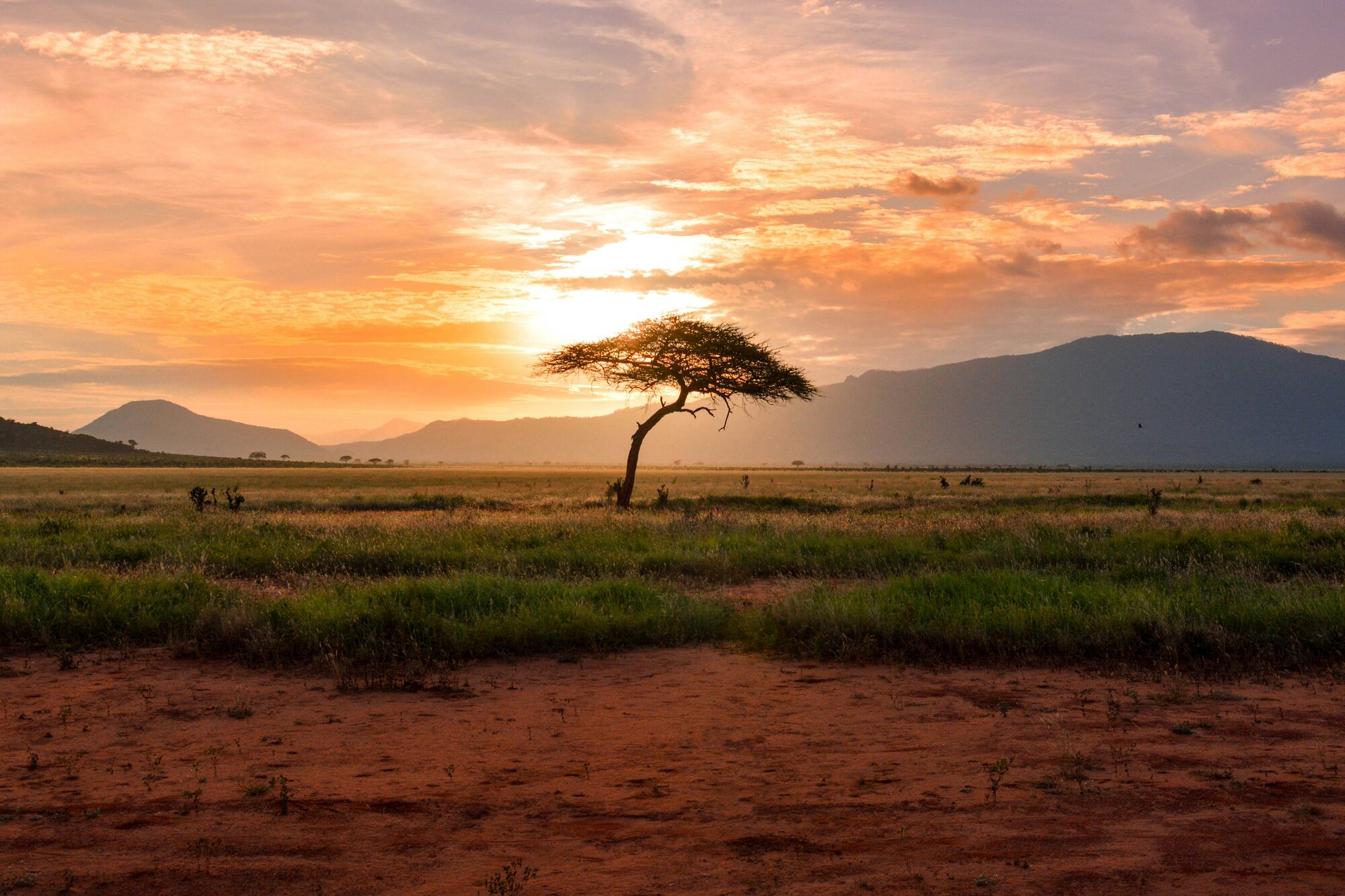 Explore the Klein Karoo